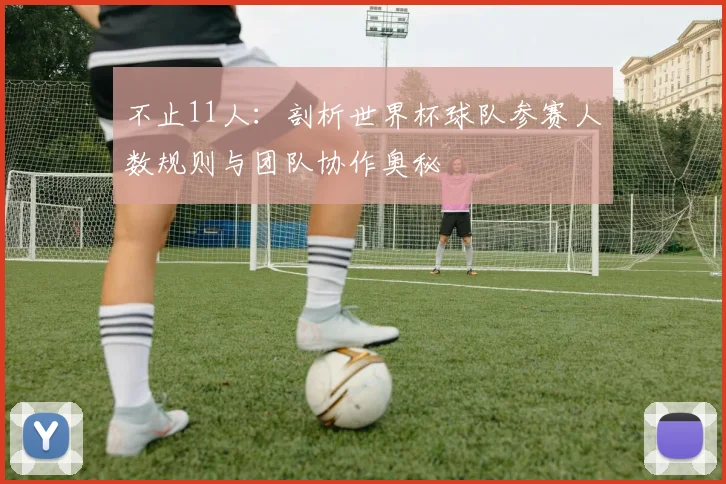 不止11人:剖析世界杯球队参赛人数规则与团队协作奥秘