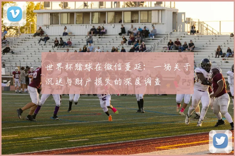 世界杯赌球在微信蔓延:一场关于沉迷与财产损失的深度调查