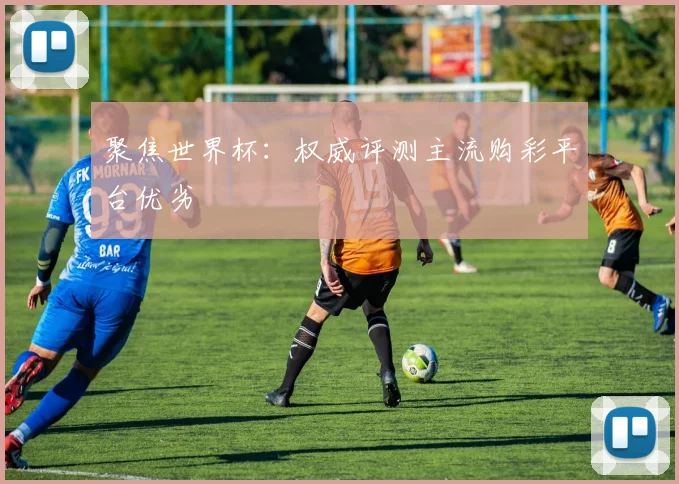 聚焦世界杯:权威评测主流购彩平台优劣