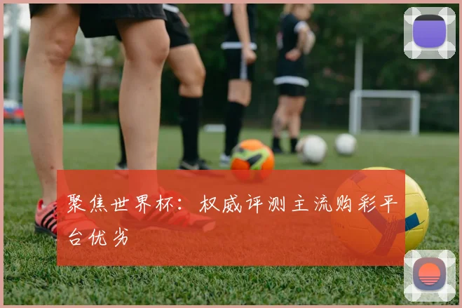 聚焦世界杯：权威评测主流购彩平台优劣