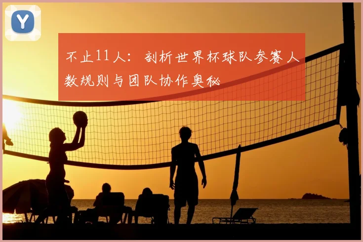 不止11人:剖析世界杯球队参赛人数规则与团队协作奥秘
