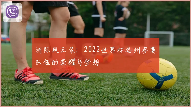 洲际风云录：2022世界杯各州参赛队伍的荣耀与梦想