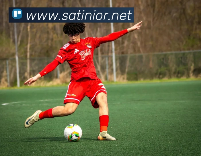 九游网页版官网登录平台生态图